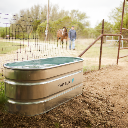 Tarter water container inside horse pasture.