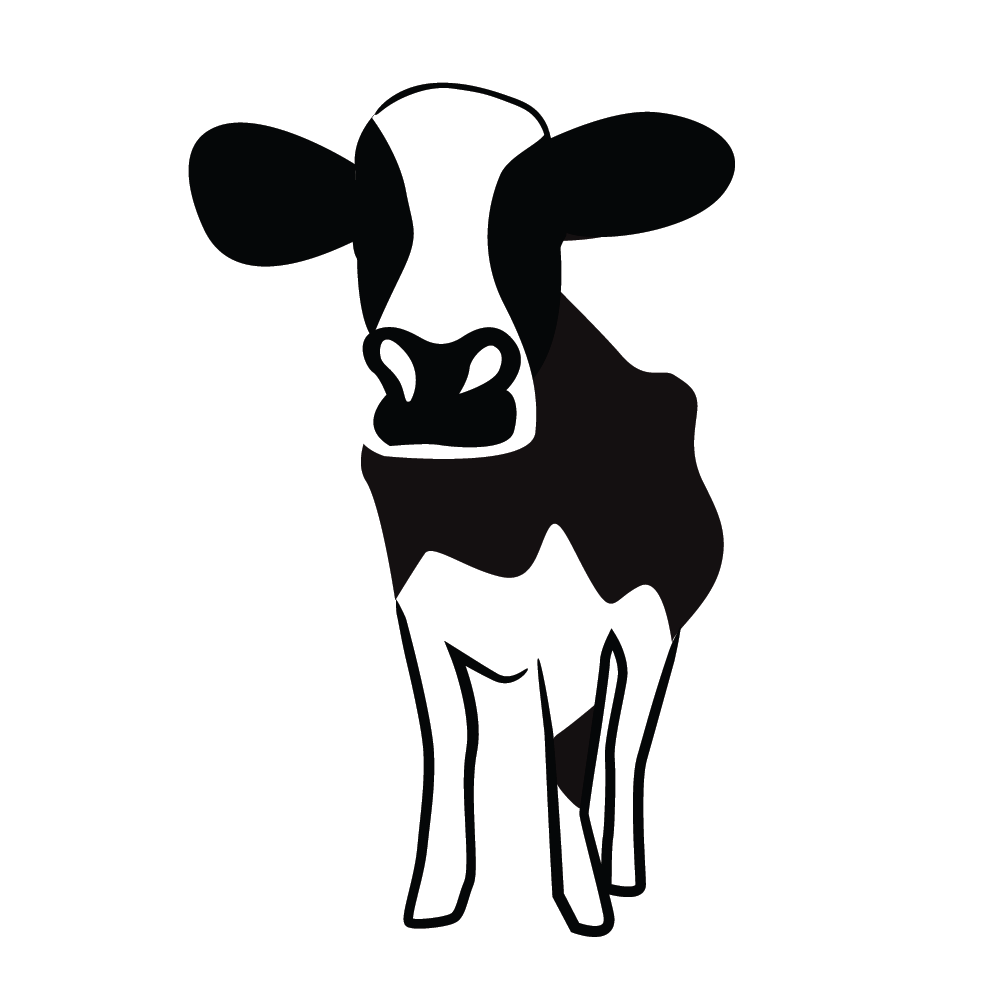 Cattle Illustration