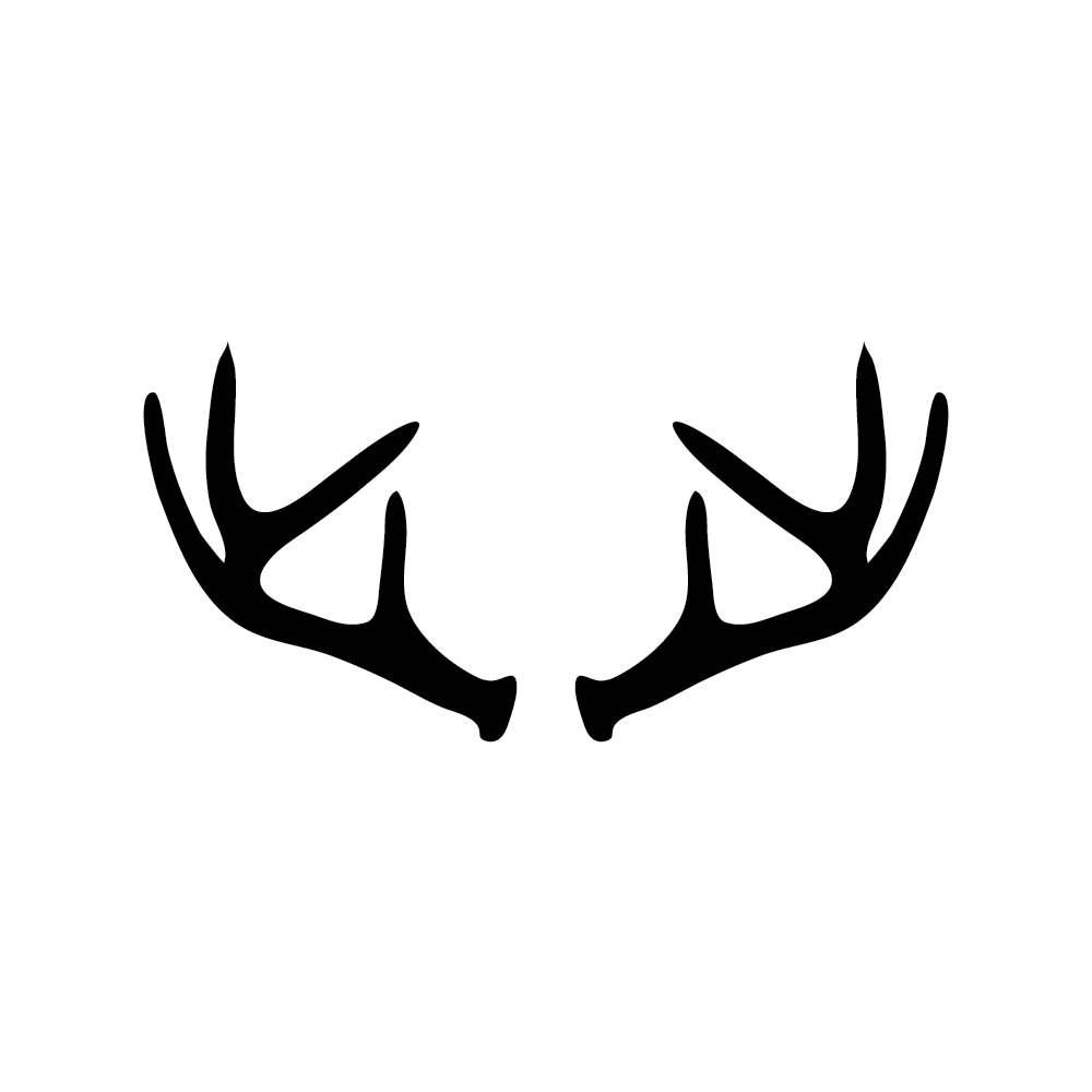 Deer Illustration