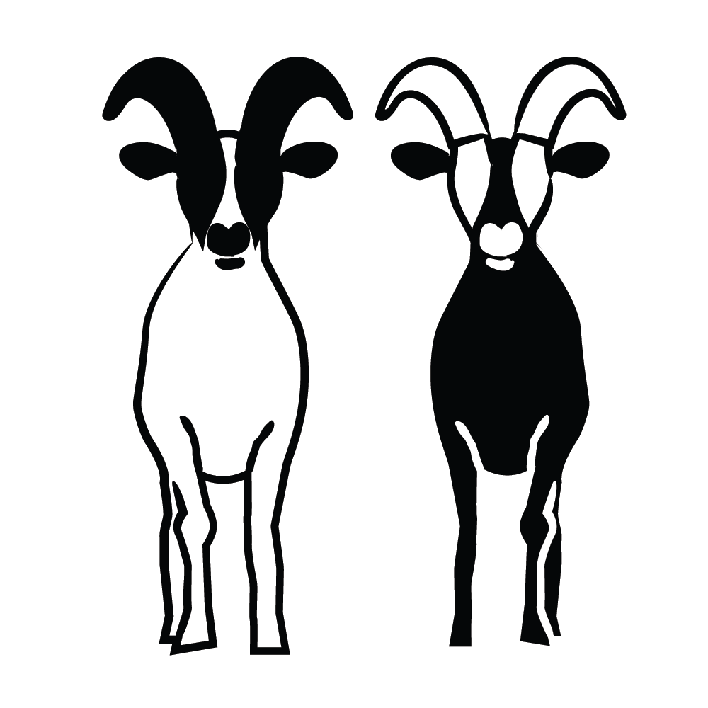 Goat Illustration