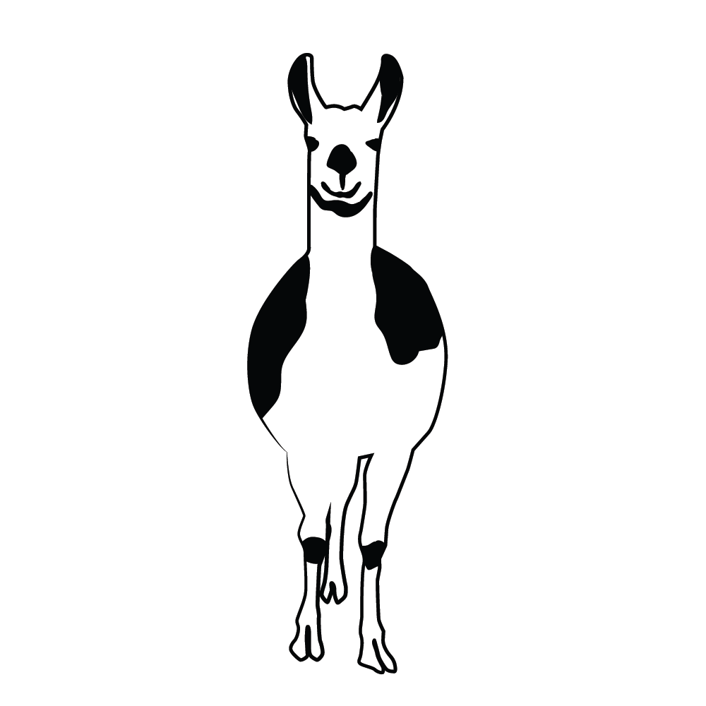 Llama Illustration