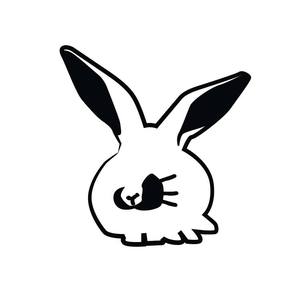 Rabbit Illustration