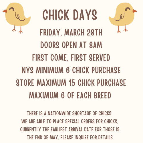 Chick Days event image.