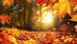 Fall is here event image.