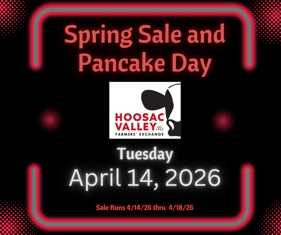 Annual Spring Sale and Pancake Day event image.